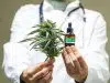pourcentage de CBD