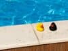yellow and black duck on white concrete surface