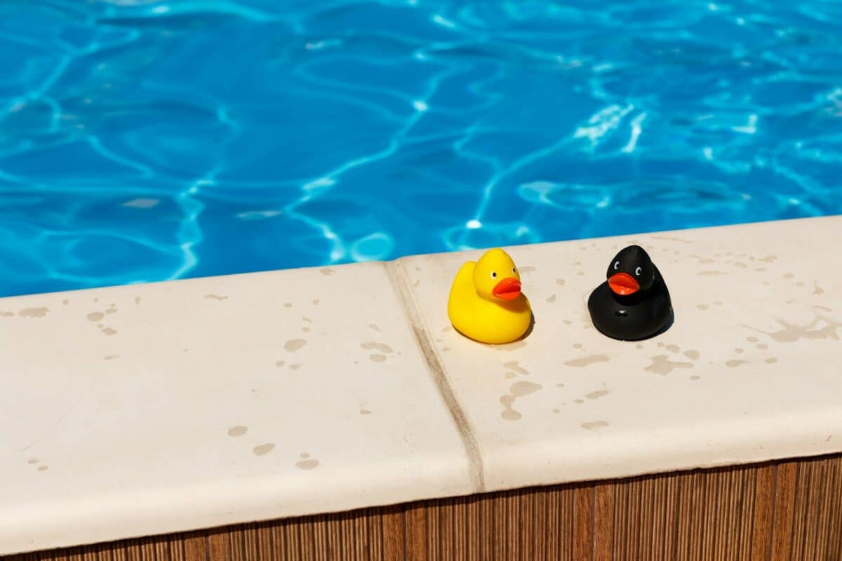 yellow and black duck on white concrete surface